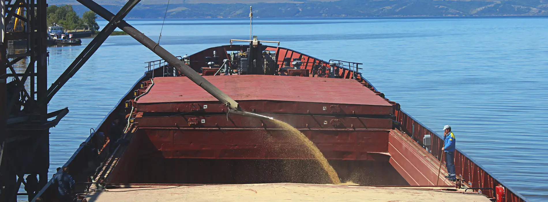 Dukhovnitsk Grain